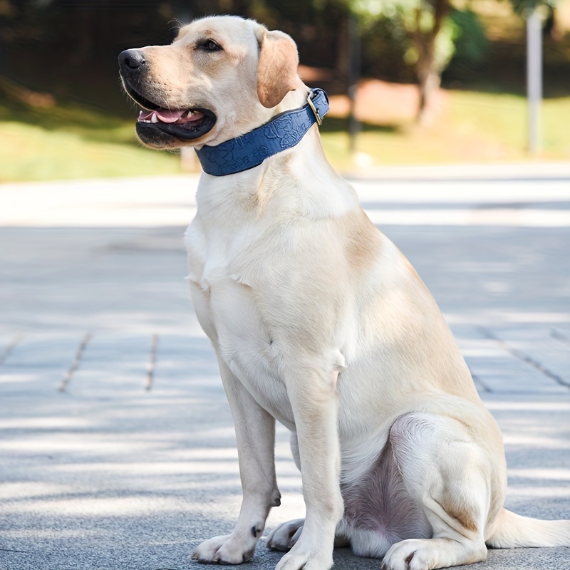 1pc レザー犬首輪花柄犬基本首輪大型犬用 - Temu Japan