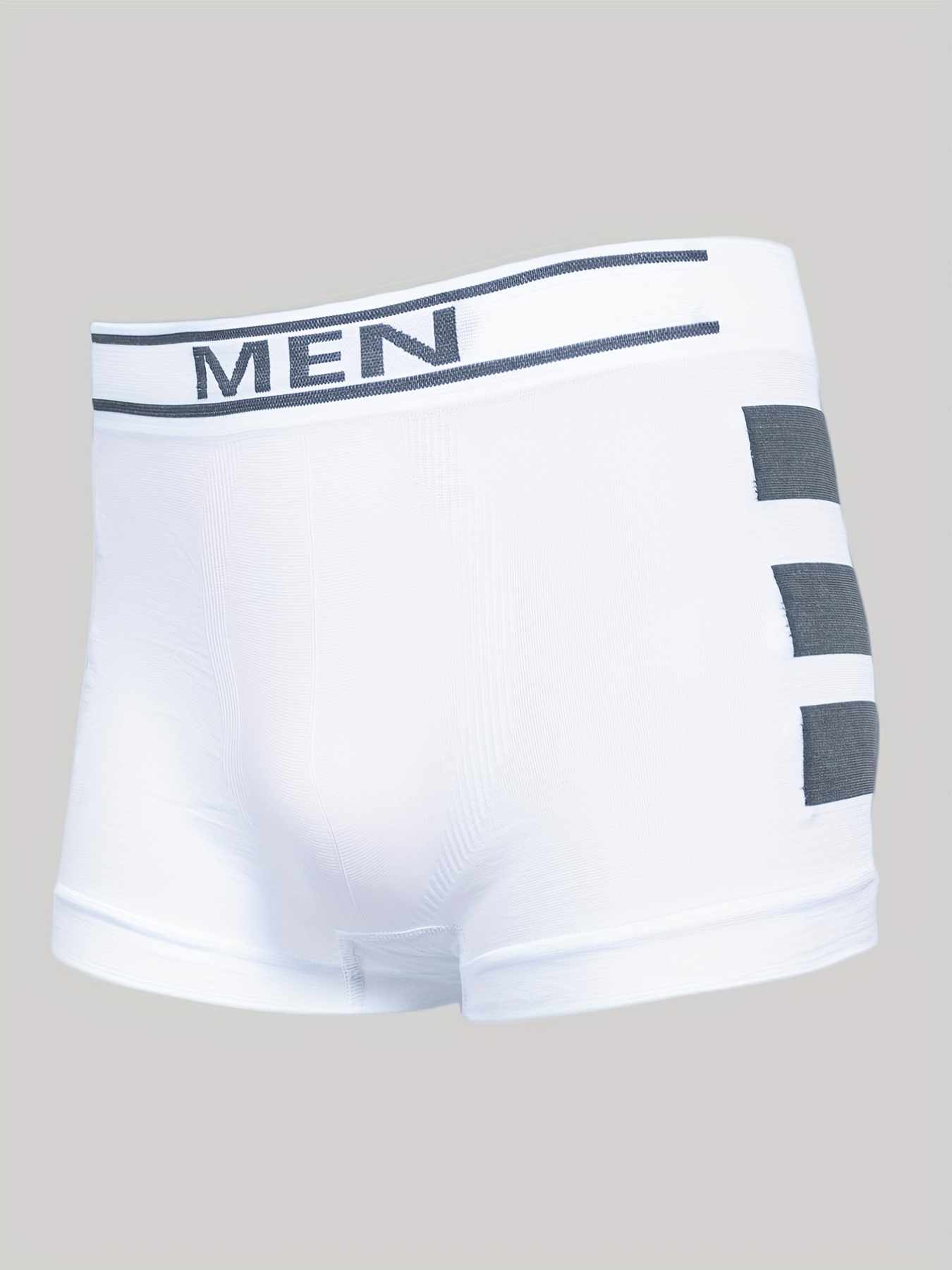 Ladies Boxer Pants Seamless Ice Silk Boxer Shorts Briefs Underwears 2/3/6  Packs