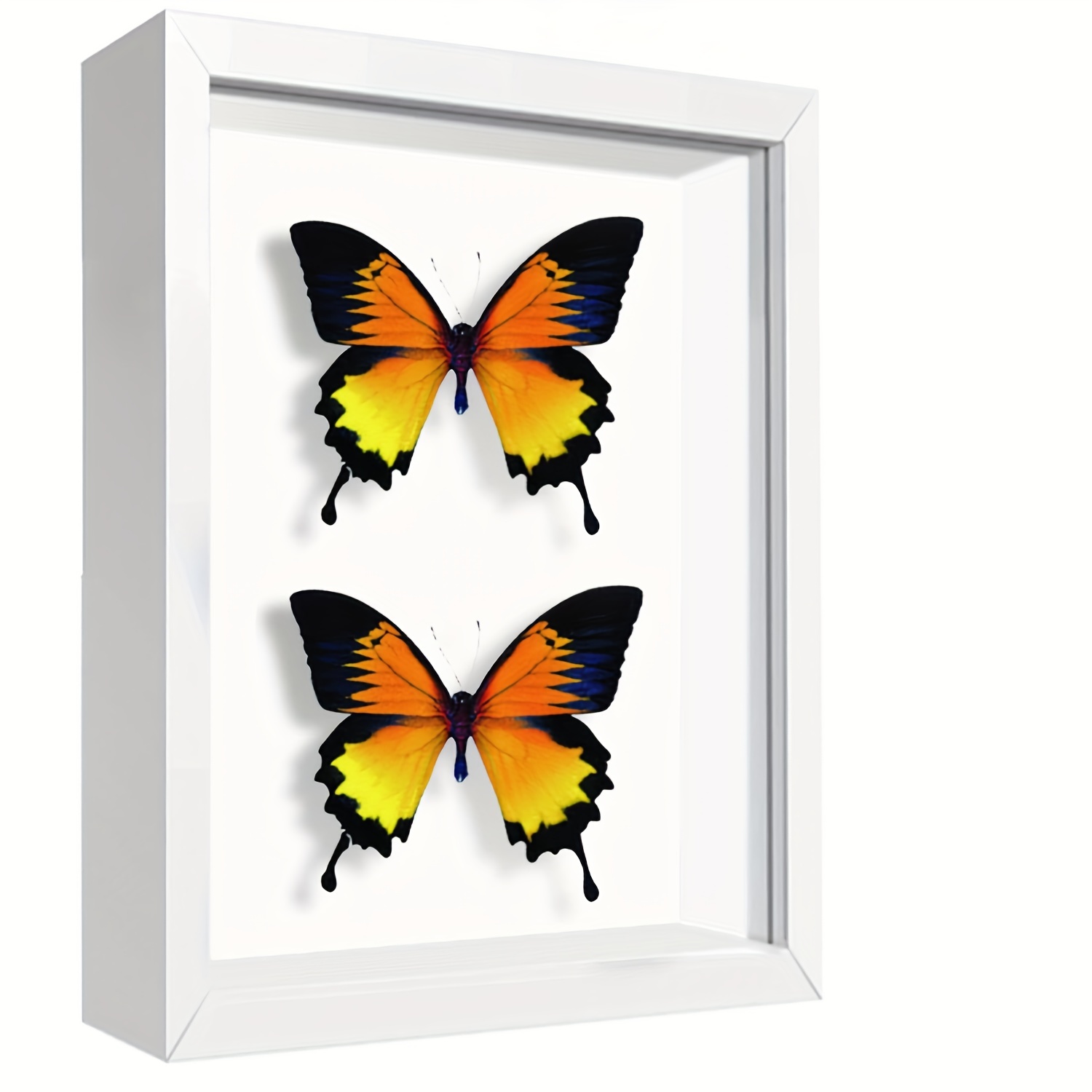 8X8 Shadow Box Frame Display Case with Letter Stickers, Display Case Box  for Mem