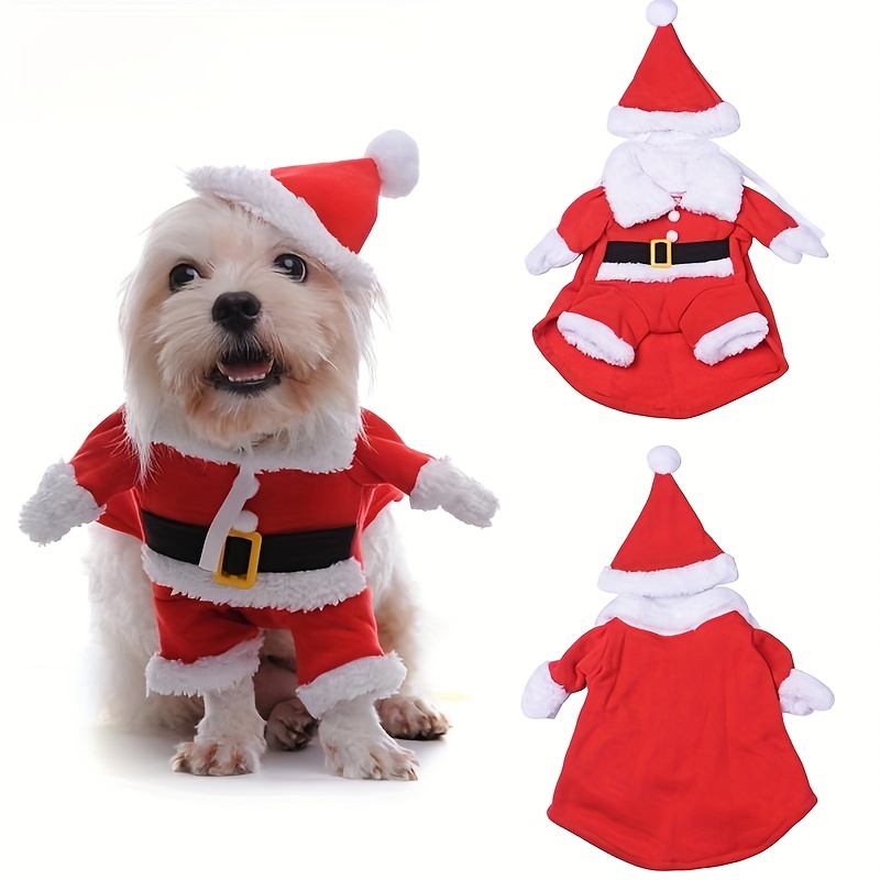 Vetement noel pour discount chien