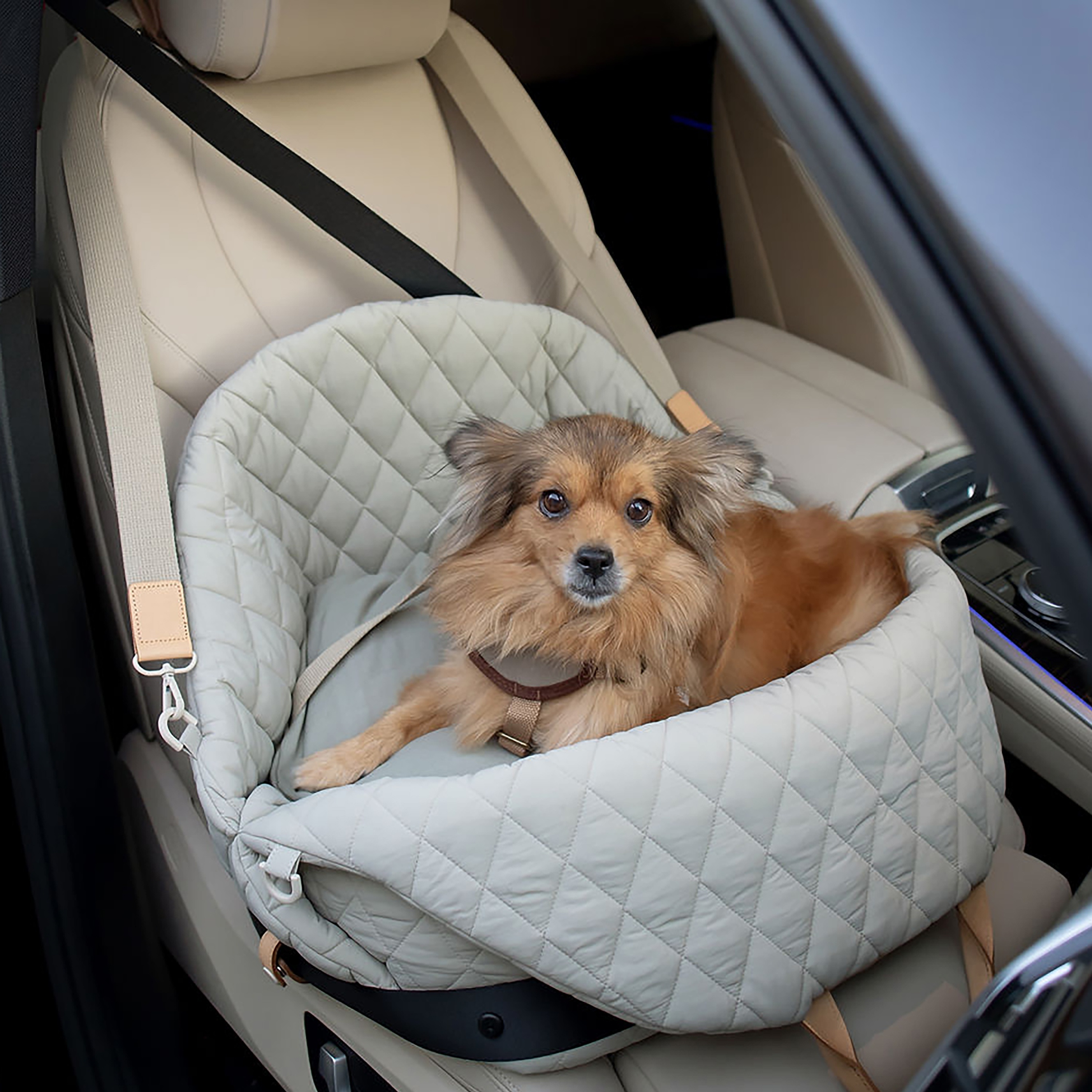 1pc Geometric Print Pet Car Seat Basket For Dog And Cat For Travel
