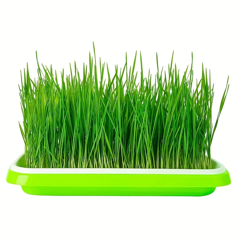 

1pc Sprout Tray Planting Pot Sprout Tray Soilless Hydroponic Tray For Growing Vegetables And Seedlings Garden Supplies