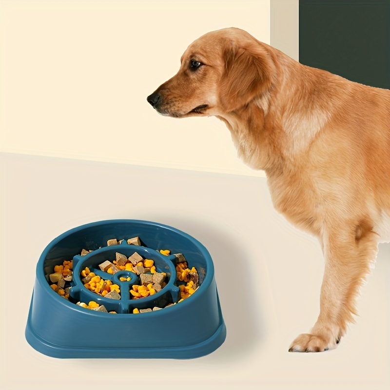 Small Dog Slow Feeder Bowl - Promotes Healthy Eating Habits And Reduces  Bloating - Temu