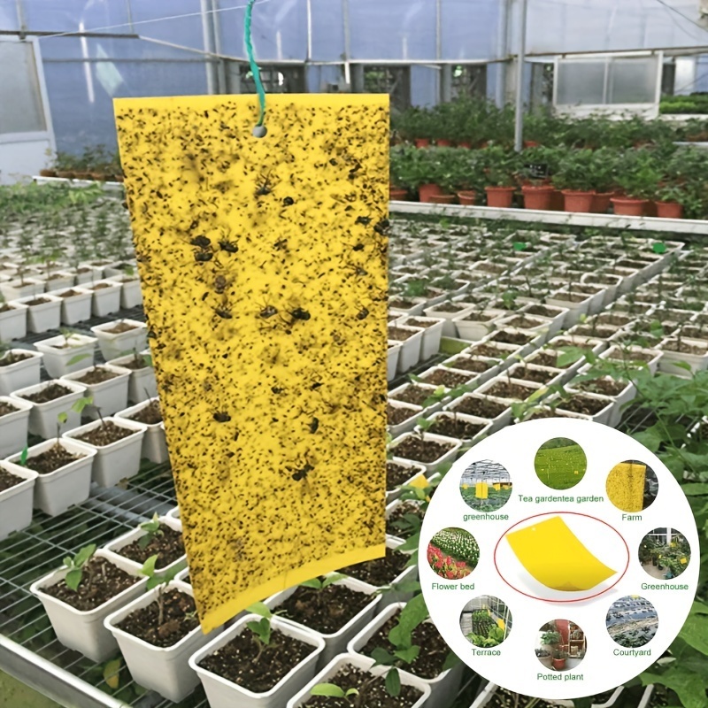 10pcs Yellow Double-sided Greenhouse Sticky Traps Bugs Sticky Board  Multiple Flying Insect Catching Control Sticker