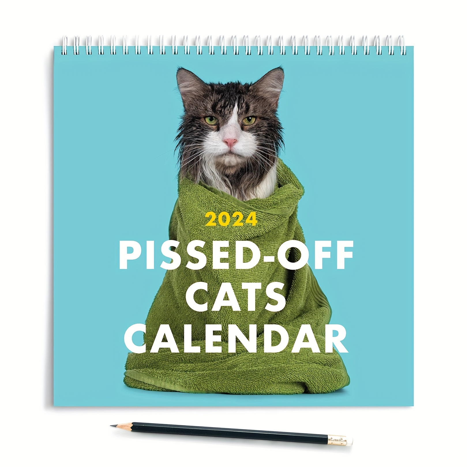 Angry Cat 2021 Wall Calendar
