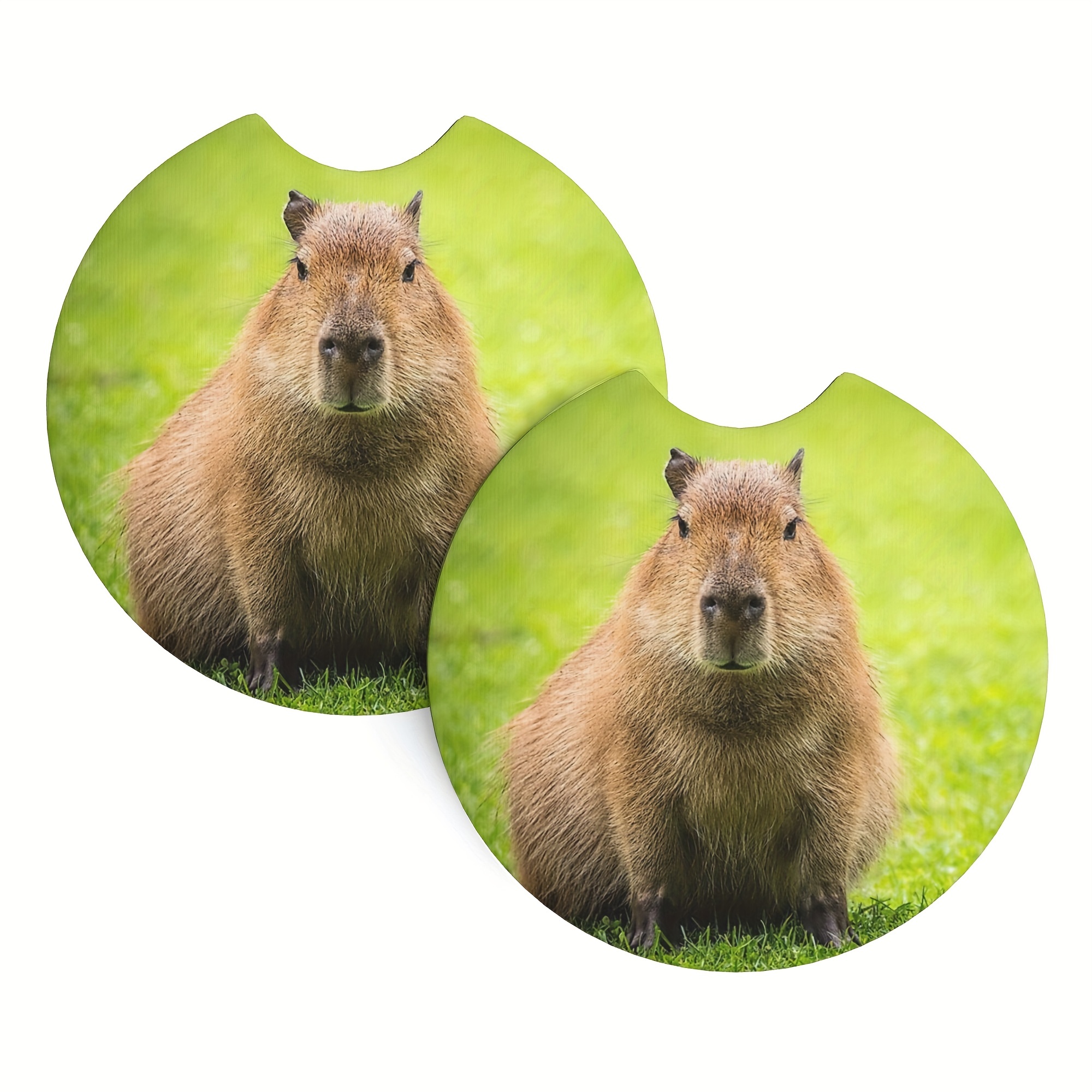 2 Stück Capybara Bedruckte Auto getränkehalter untersetzer - Temu