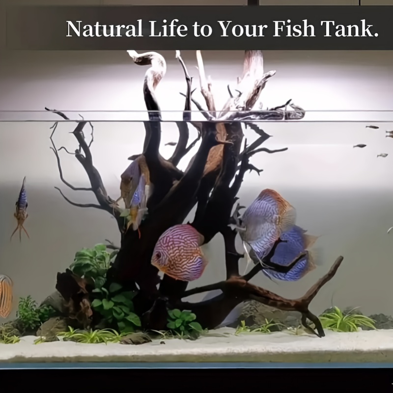 Natural fish best sale tank decorations