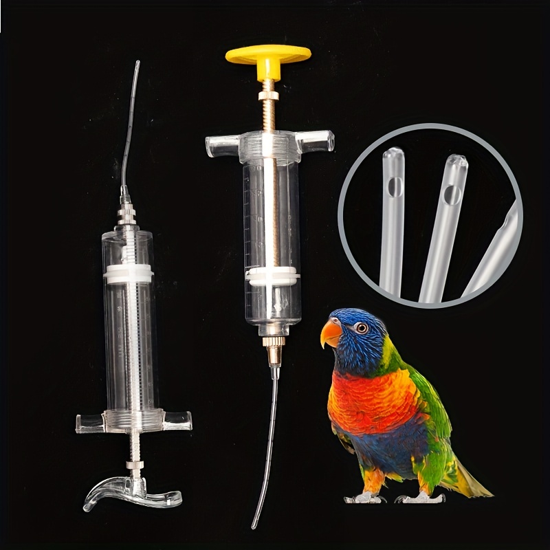 Seringue coude alimentation pour oiseaux sein ou médicament seringue en  plastiqu