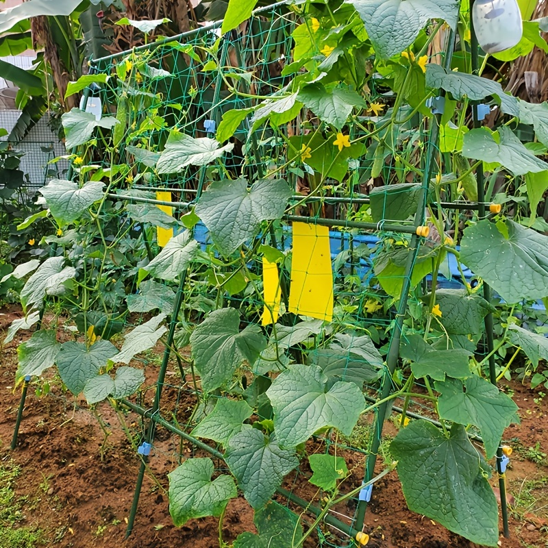 Grow Your Garden With Heavy duty Polyester Plant Trellis - Temu