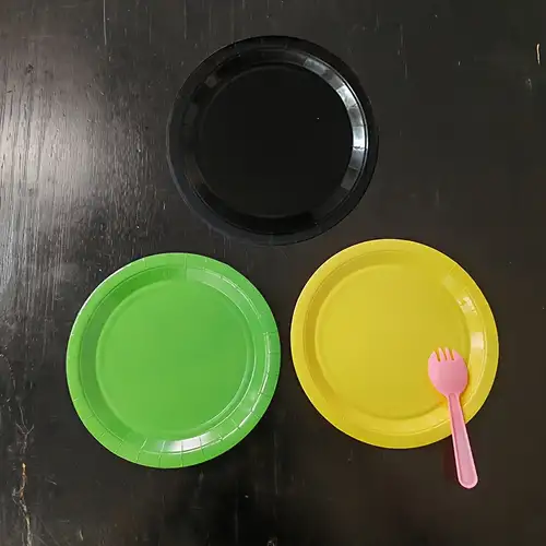 Plastic Plates Disposable - Temu