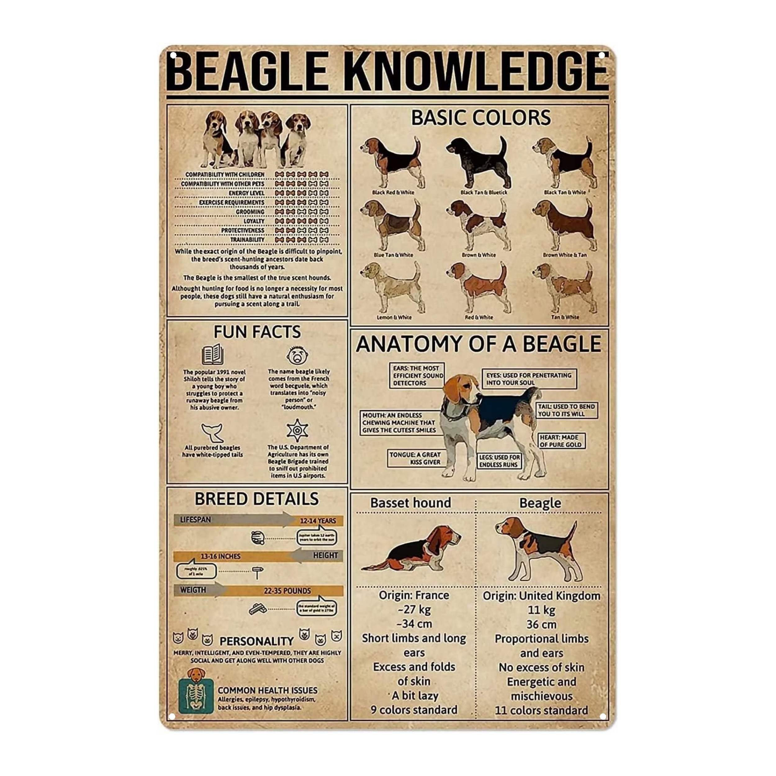 Die Beagles - Kostenloser Versand Für Neue Benutzer - Temu Germany