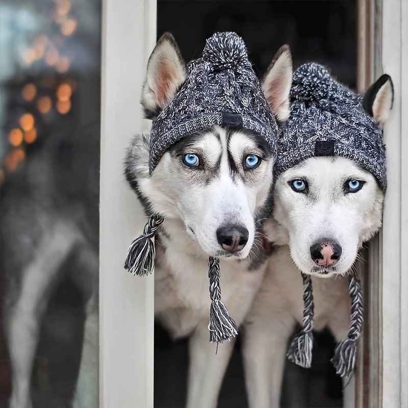 Fur ball clearance dog