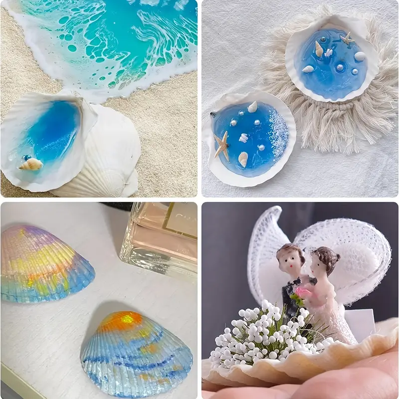 Scallop Shells For Crafts Large Sea Shells For Decorating - Temu