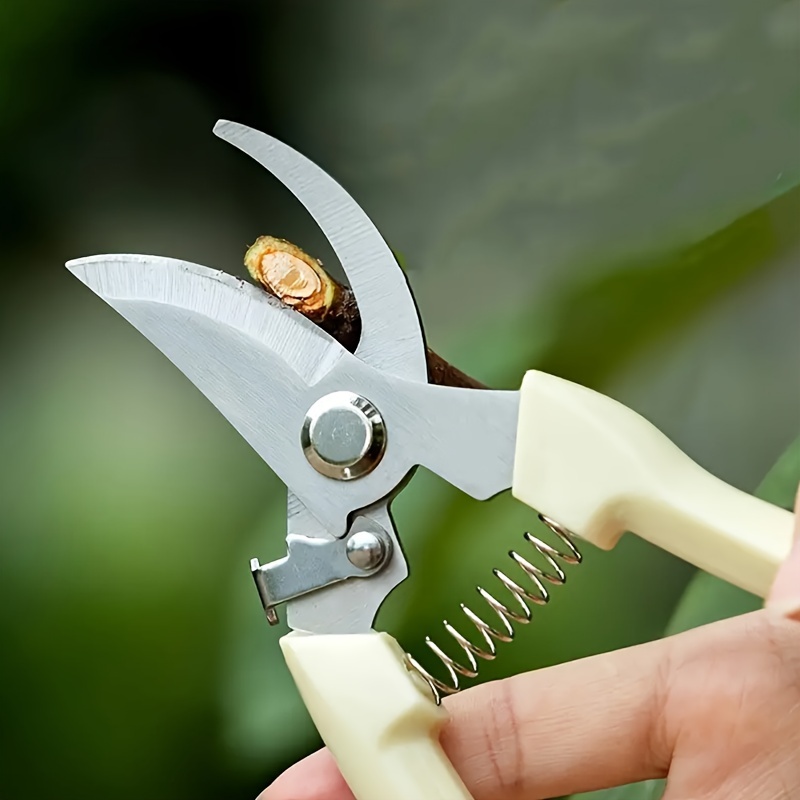 Garden Pruning Shears Branch Scissors Stainless Steel Fruit - Temu