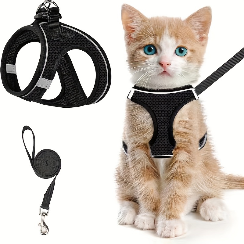 NeoStore Arnes Gato Antiescape - Arnés para Gato Ajustable con Correa de  Regalo - Accesorios para Gatos (XS, Negro) : : Productos para  mascotas