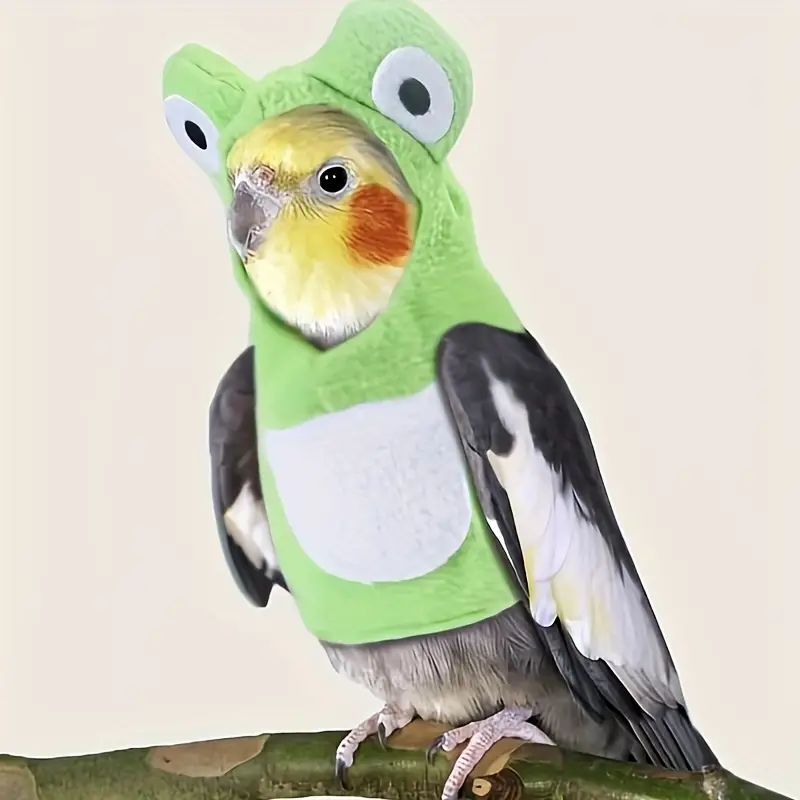 Frog Design Bird Costume Funny Cute Bird Clothes Parrot - Temu