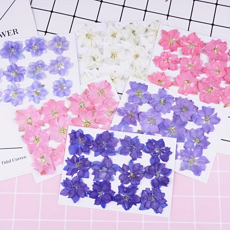 12pcs/pack Flores Prensadas Secas Para Resina Flores De - Temu