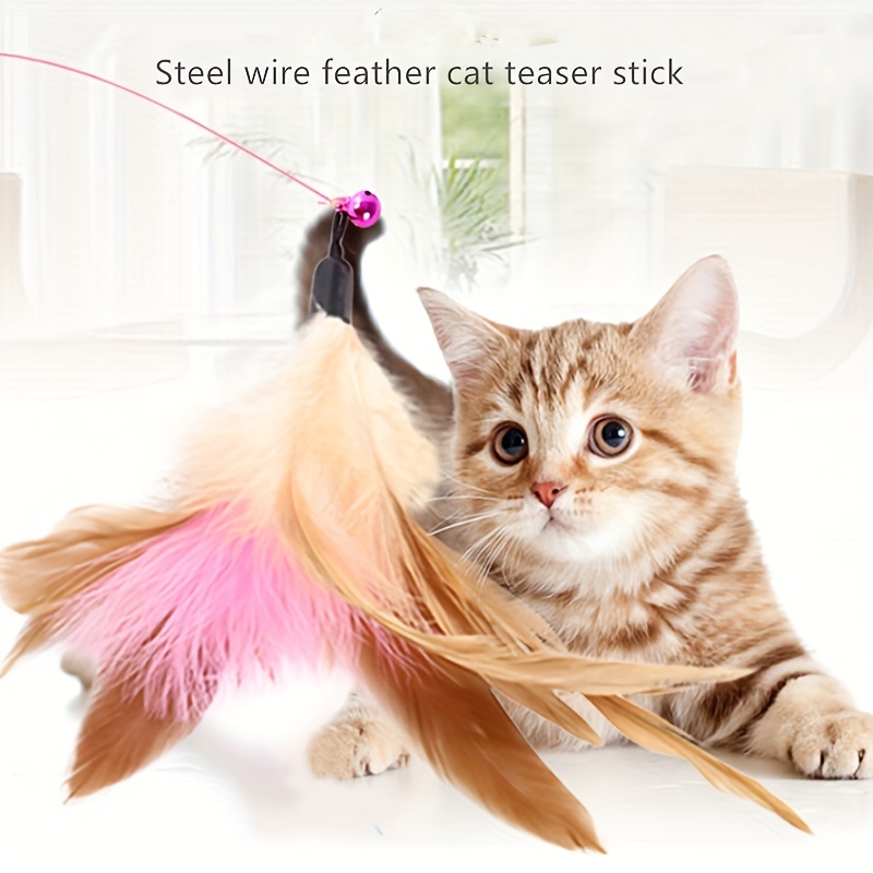 Feather Decor Steel Wire Cat Teaser Stick Toy Indoor Cat - Temu