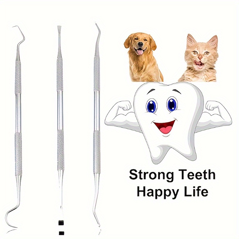 Dents artificielles, Plaque dentaire parodontale, hygiène, tartre pour la  pratique du nettoyage, bouteille de 15ml -  France