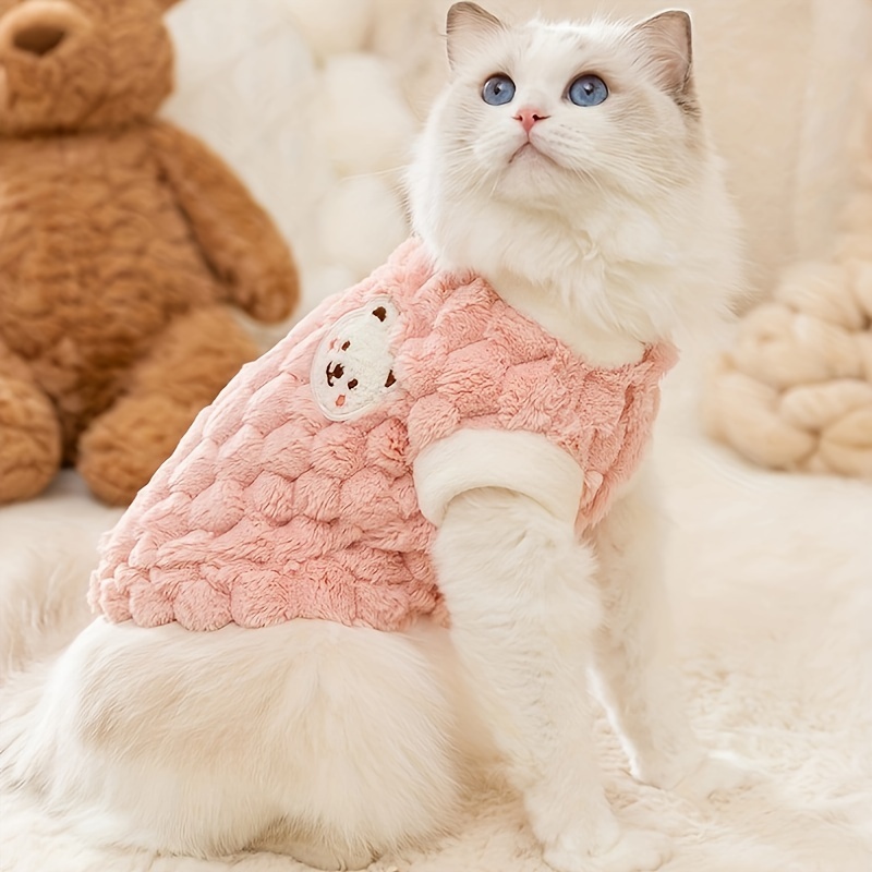 Female 2024 cat clothes