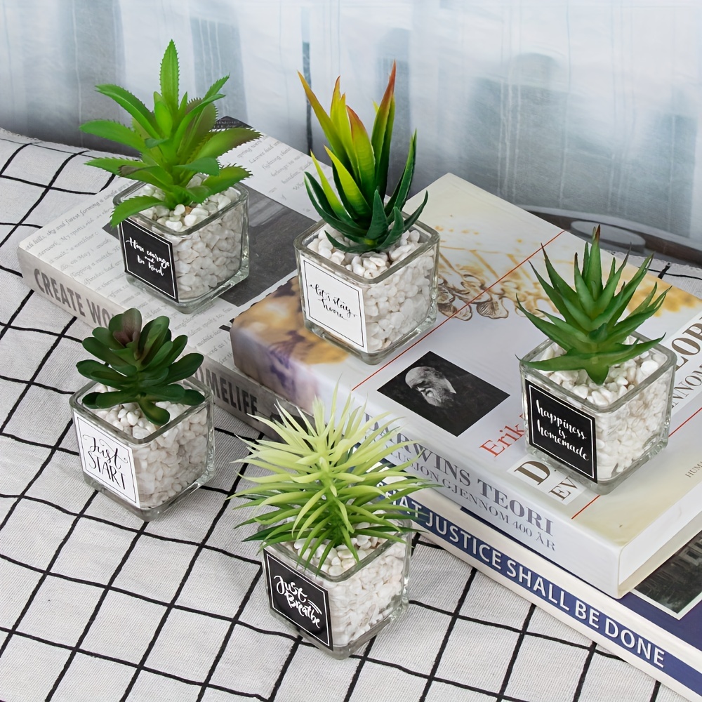 Plantes Succulentes Artificielles en Plastique Dans des Mini Pots en  Plastique, Style Aléatoire, 1Pc