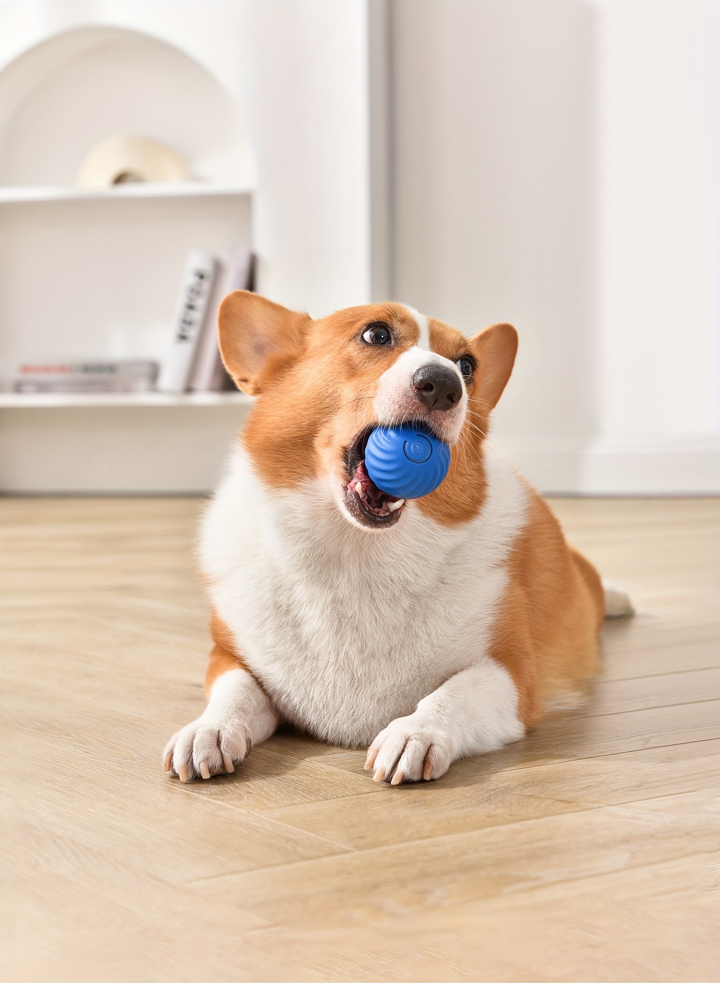 1pc Tpr Peanut Shaped Pet Dog Toy For Interaction, Teeth Grinding, Bite  Resistance, Suitable For Corgi, Teddy And Small Dogs, Indoor And Outdoor