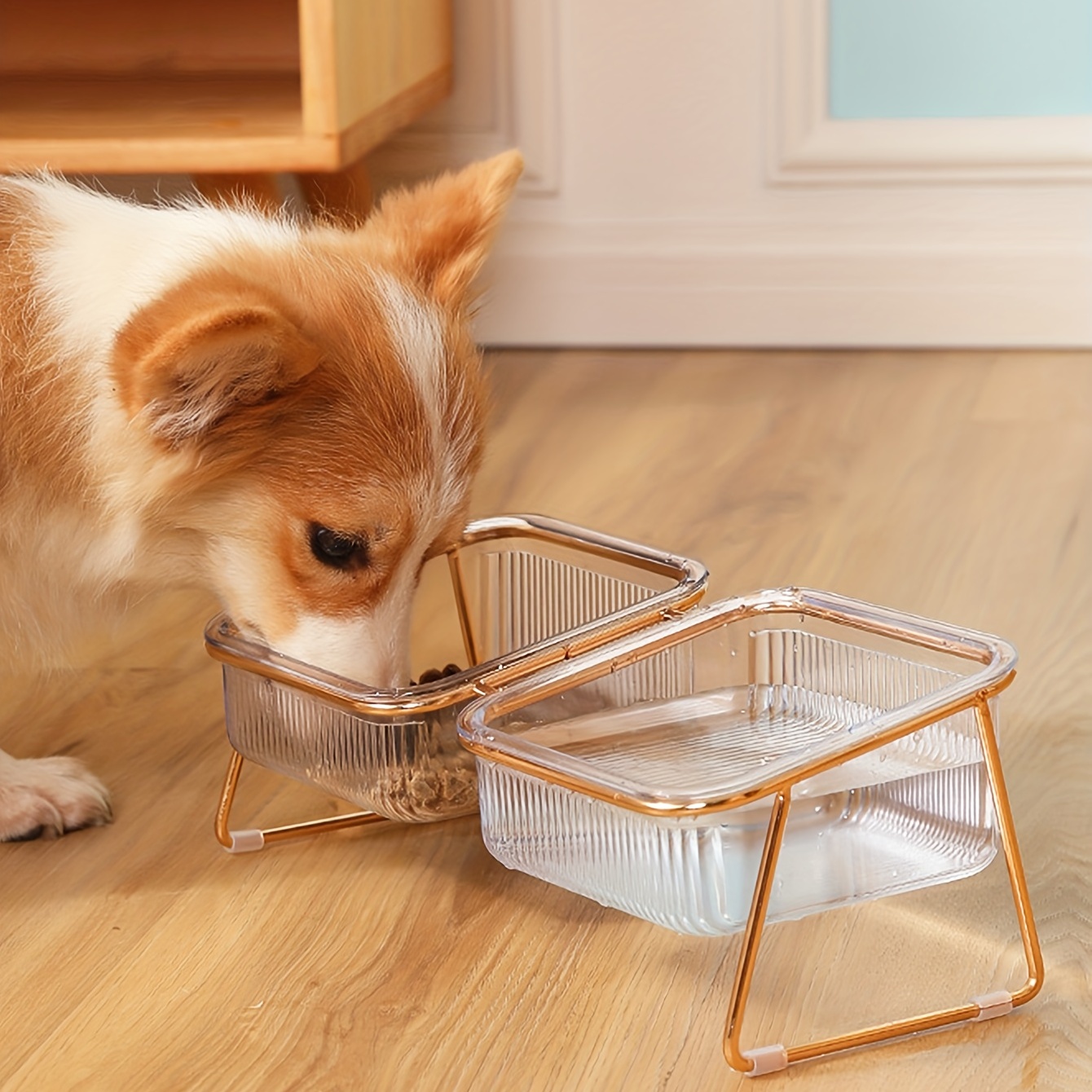 

Bol Surélevé Pour Chat de Couleur Aléatoire, Bol D'eau Incliné Pour Chat Surélevé Avec Support En Fer Pour La Protection Du Cou, Fournitures D'alimentation Pour Animaux de Compagnie