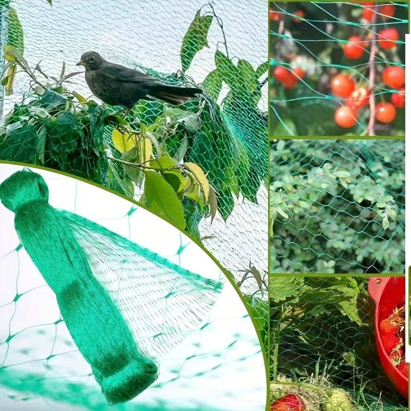 Bird Protection Net Vegetable Grape Cherry Strawberry Fruit - Temu