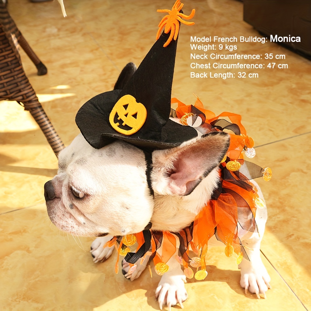 Ensemble de costumes d'Halloween pour animaux de compagnie, 3