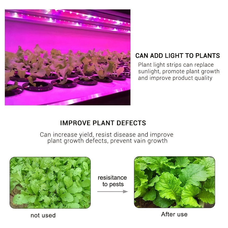 Full Spectrum Grow Lights: Enhancing Plant Growth and Yield