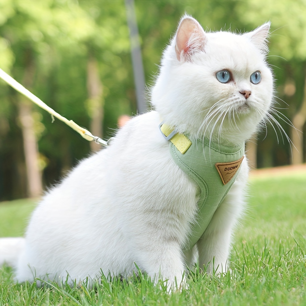 Adjustable Cat Harness Leash Set Comfortable Pet Vest Temu