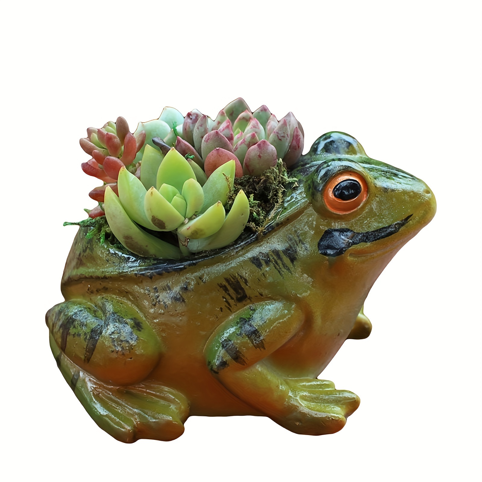 1pc Plant Pots For Frog Decor Flower Pots Outdoor Clearance 5 7 Inch Cute  Small Mini Flower Pot With Drainage Outdoor Indoor Home Patio Yard Decor  Gifts