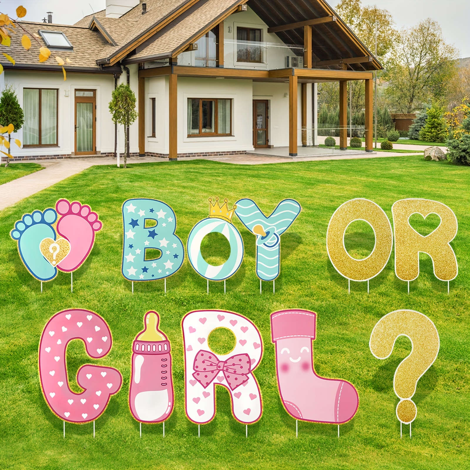 Gender Reveal Decorations Gender Reveal Party Supplies Party - Temu