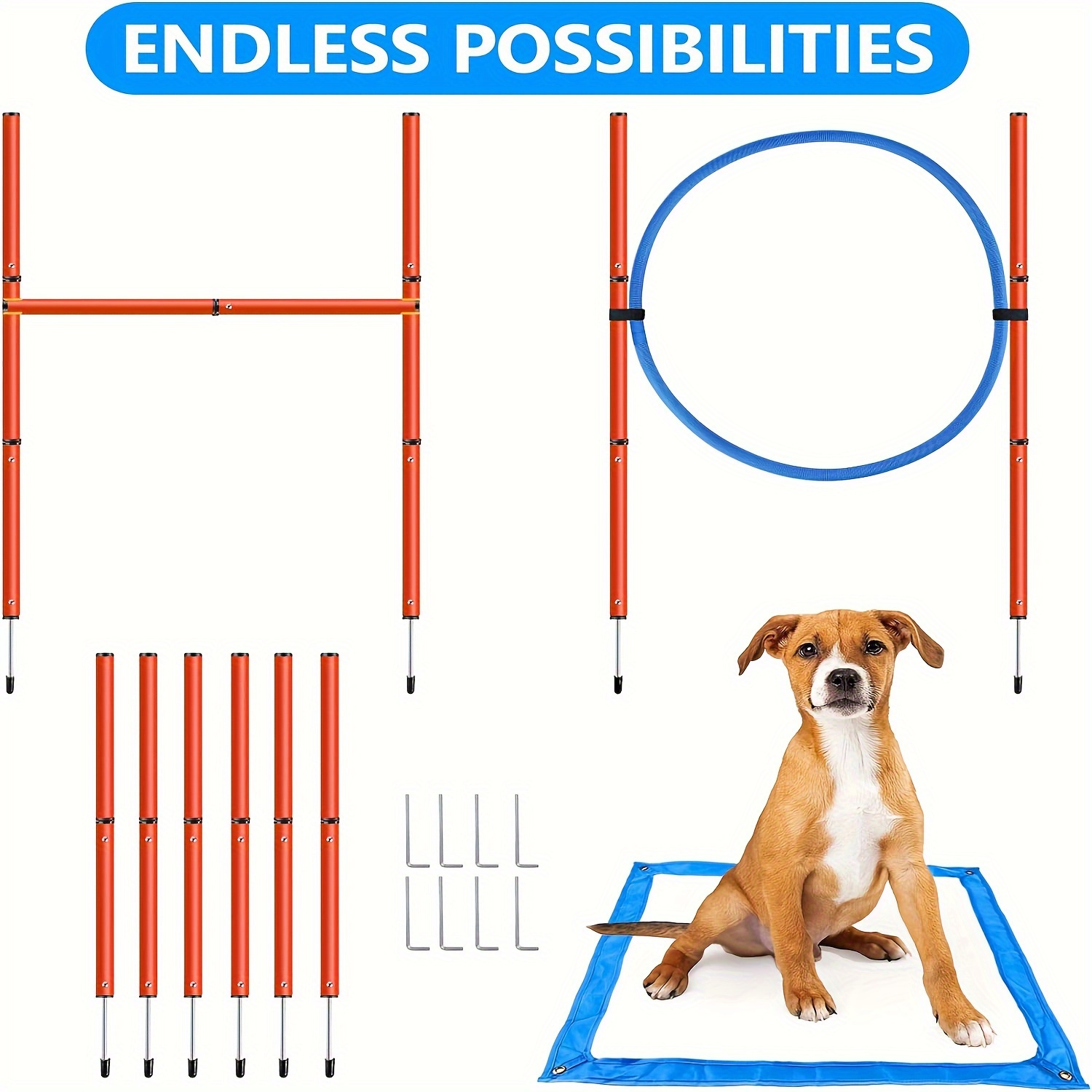 dog agility training set obstacle course