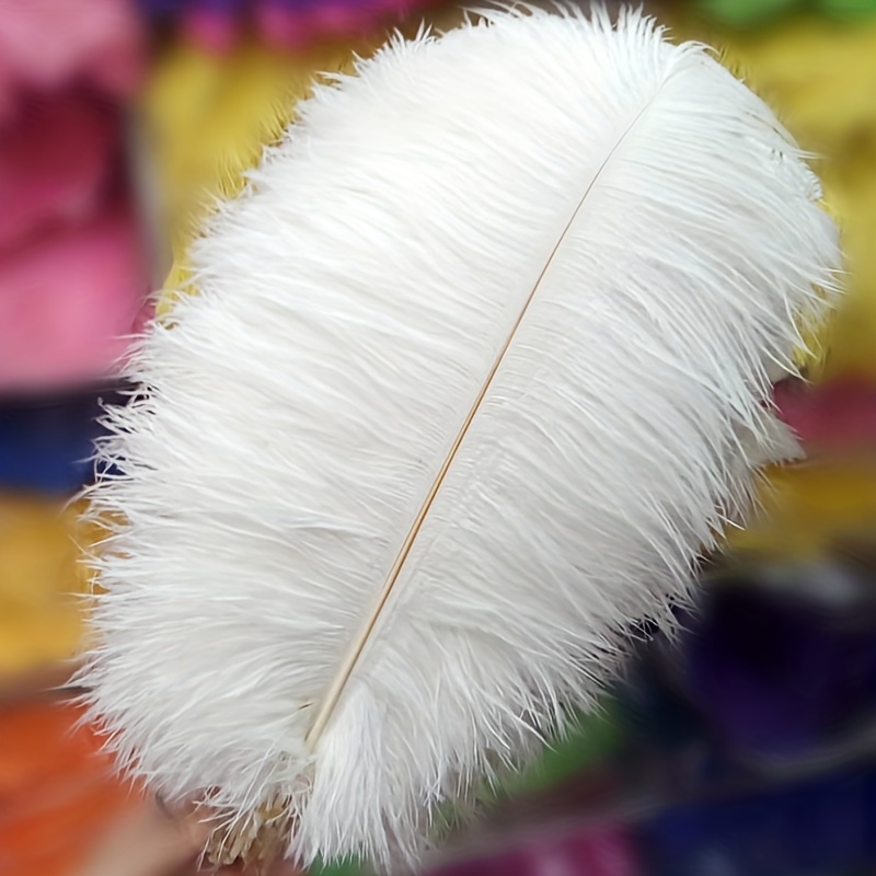 24pcs Natural White Ostrich Feathers 10-12inch (25-30cm) for Wedding Party Centerpieces,Flower Arrangement and Home Decoration.