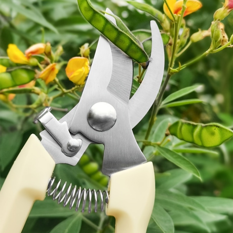 Premium Garden Shears, Pruning Scissors Gardening Tools, Pruners For  Flower, Bushes, Rose Fruit Tree For Florist, Yard Orchard The Plant Clippers,  Tree Trimming, Plant Flower Rose Pruning Shears - Temu