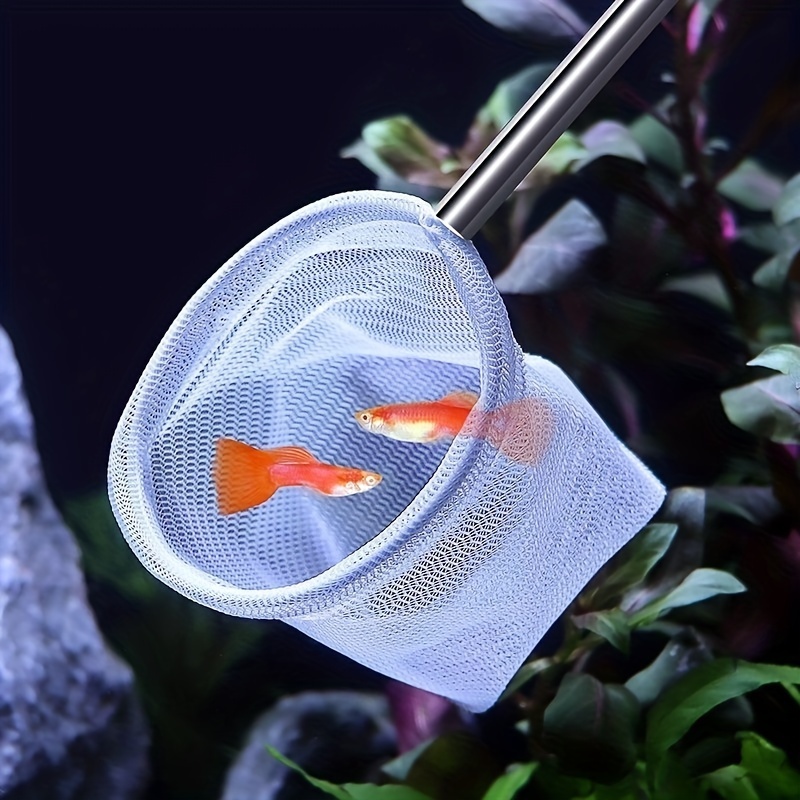 Mini Fish Net - Temu