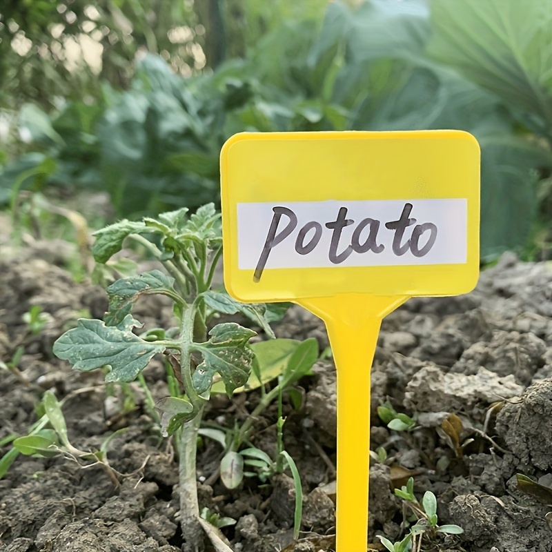 Étiquette plastique étanche pour plantes de jardin, étiquette