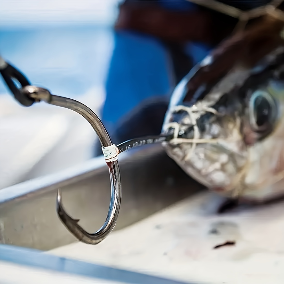 Stainless Steel Saltwater Fishing Hooks: Catch Fish - Temu United Arab  Emirates