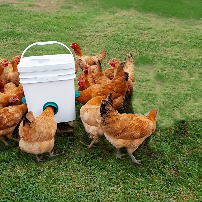 Chicken Feeder Feed Trough with Clips Hanging Fence Feeders