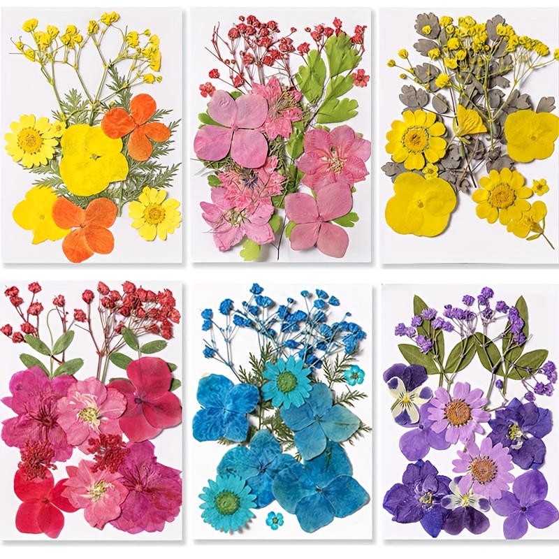 Flores secas, paquete de 12 hierbas de flores secas naturales para bañ