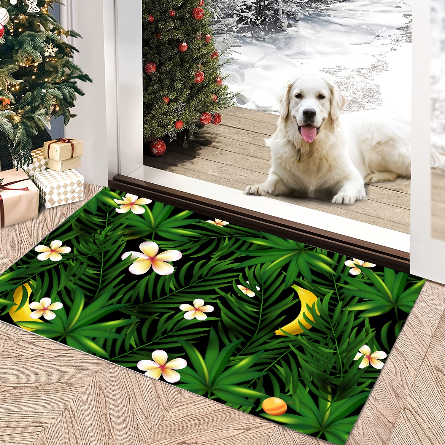 Front Door Mat, Heavy Duty Durable Welcome Mat for Outdoor Indoor