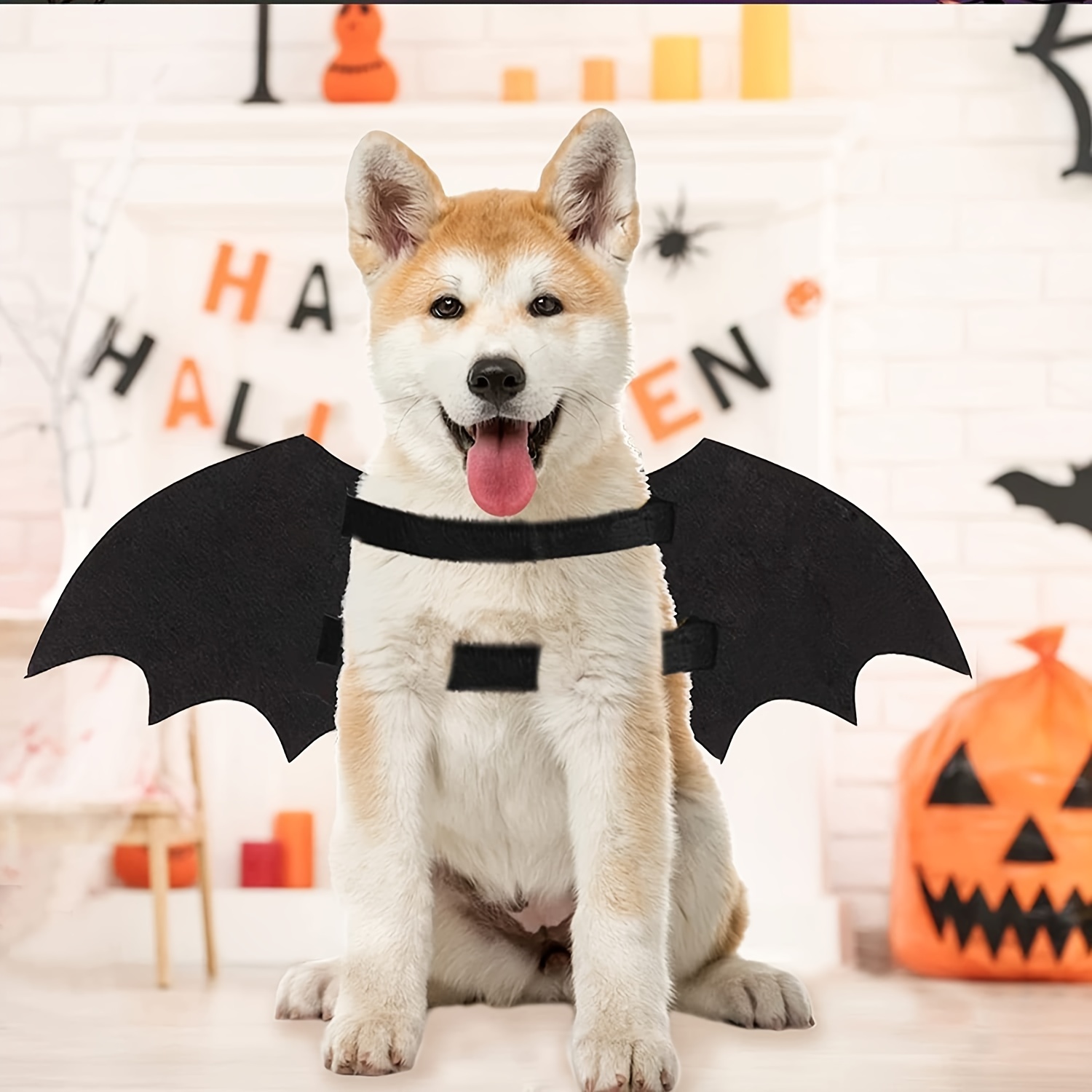 Pet Costume Halloween - Temu
