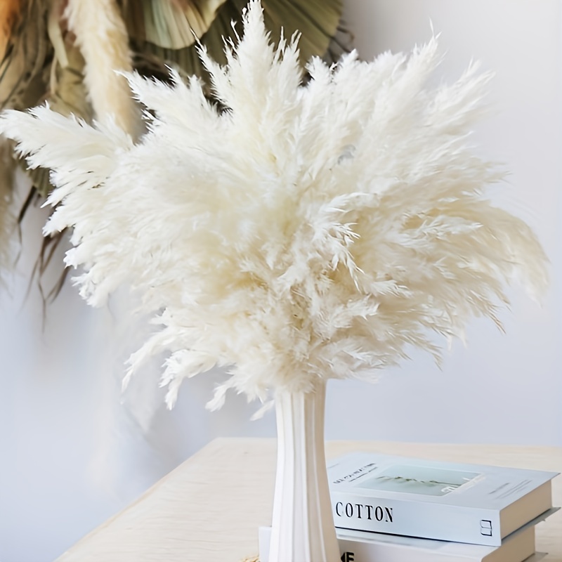 White Pampas Grass Decor Large Pompas Grass Boho Neutral Temu