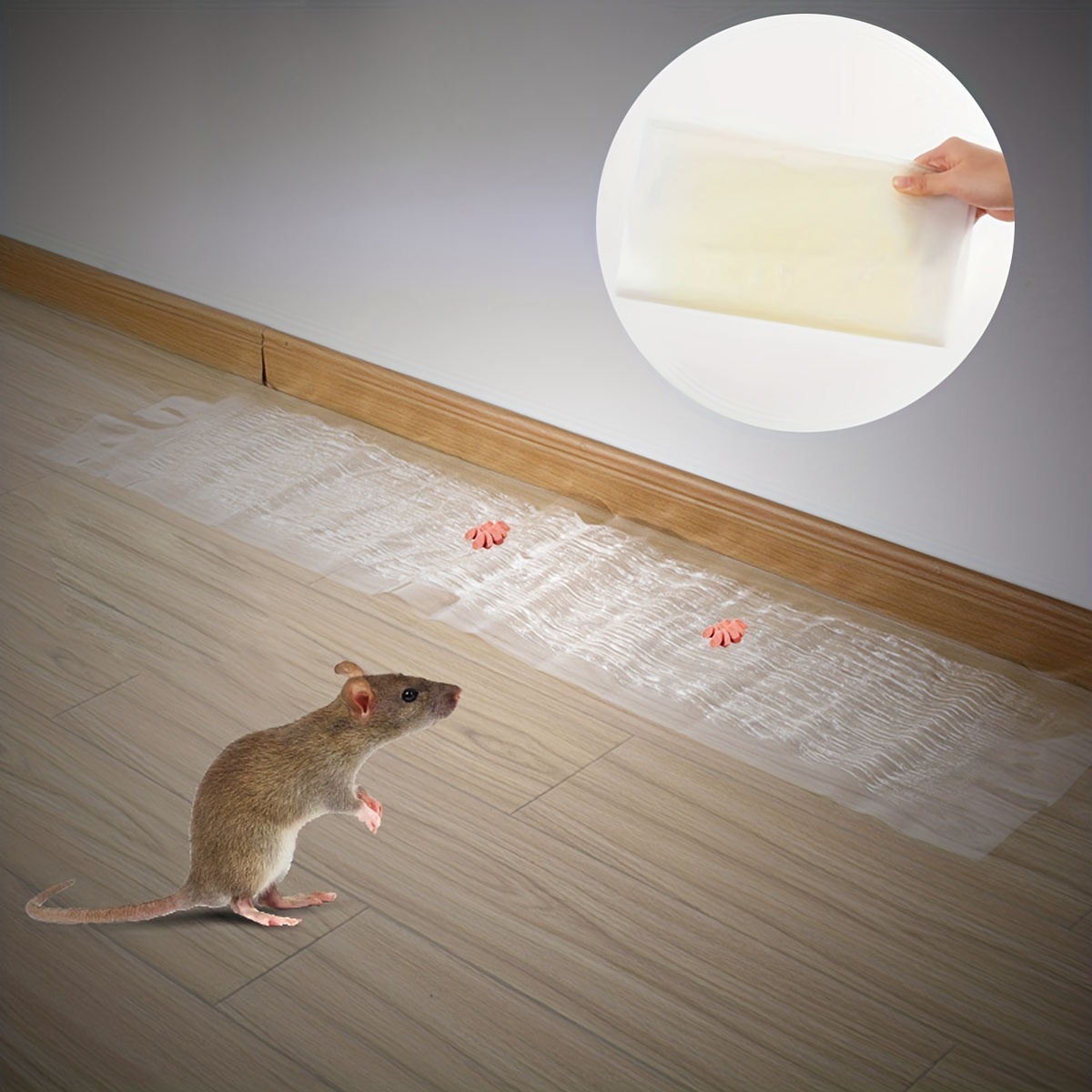 Mouse Trap Humane Live Catcher Rat Vermin Rodent Cage Pest No Kill  Reusable, Pest Control - Temu