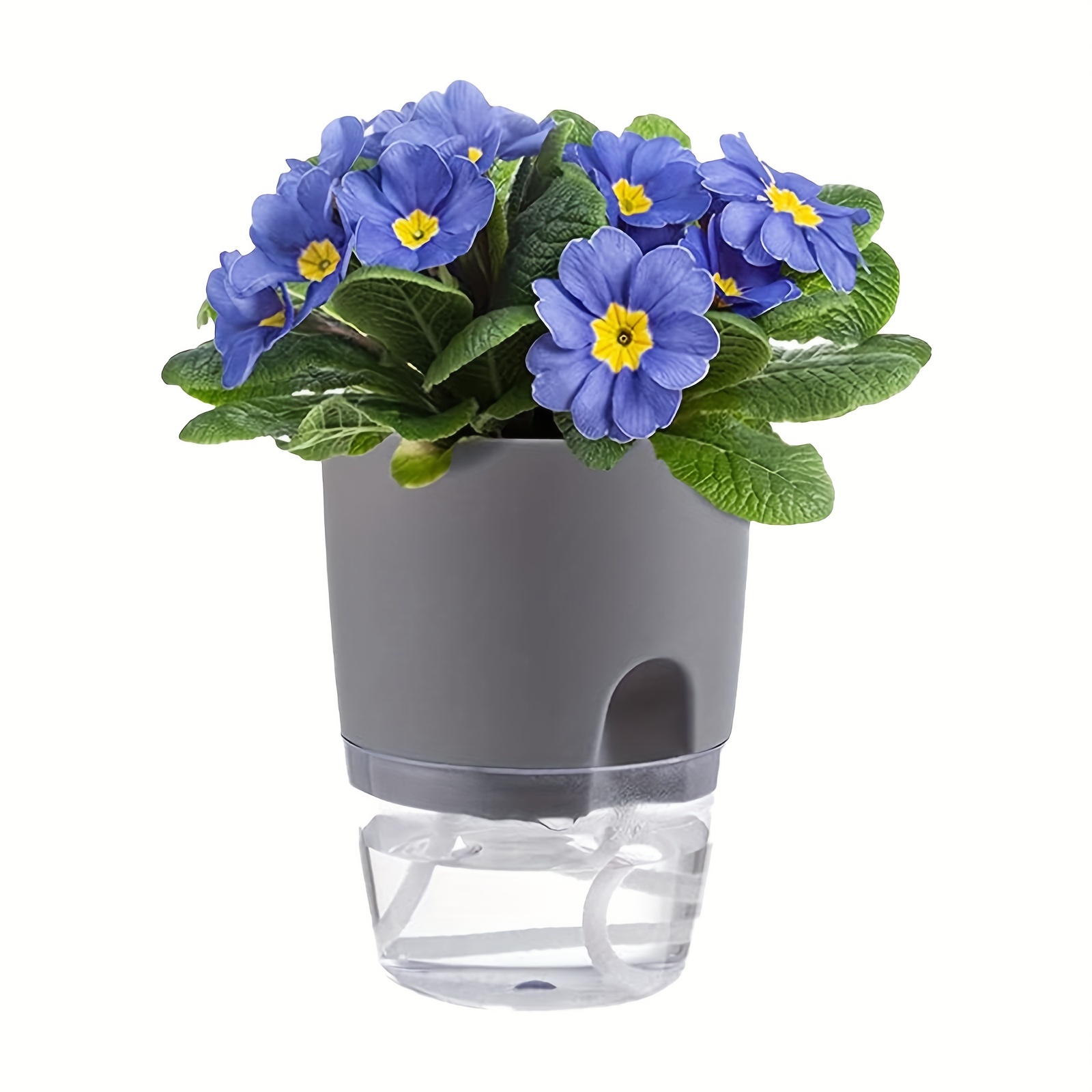 Self Watering Flower Pots Plants Wicking Pots African Violet - Temu
