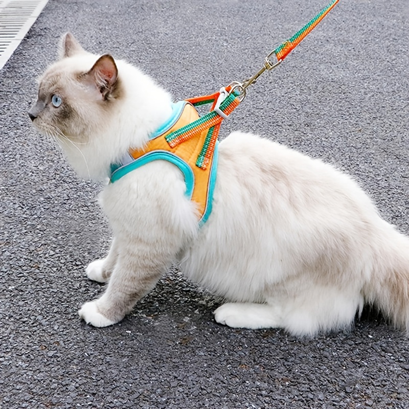 JOBDE - Arnés para gato, 2 unidades de arnés y correa para caminar, fácil  control con cuerda de tracción para mascotas, para cachorros, gatitos