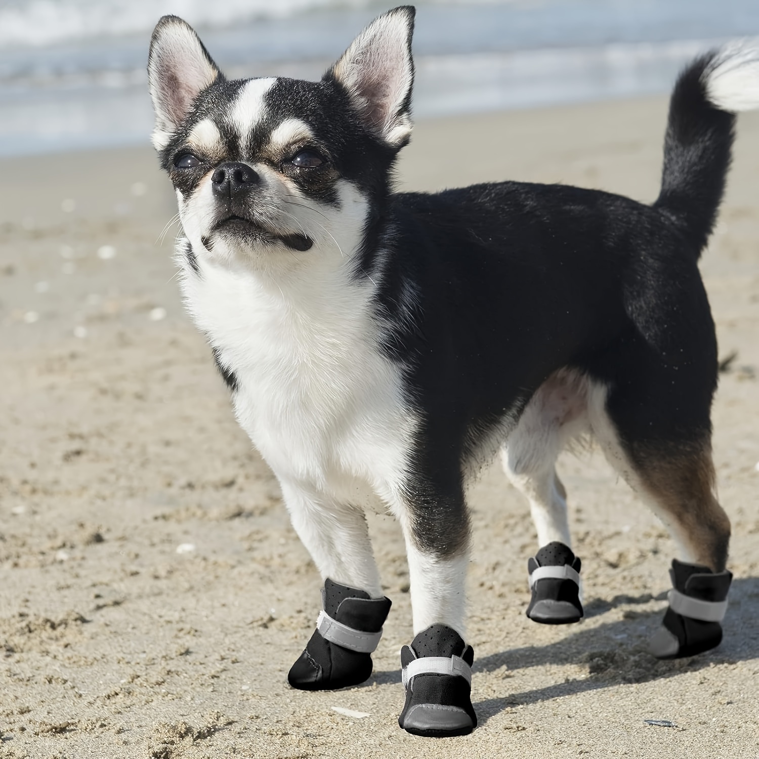 Dog paw rain clearance boots