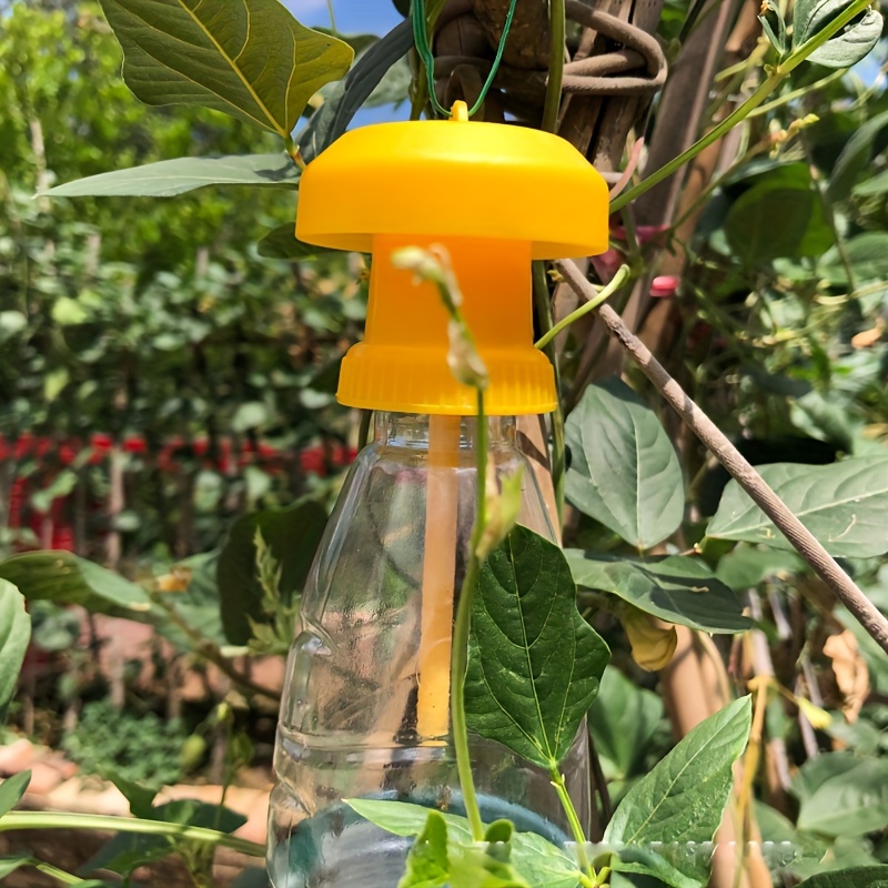 Eliminate Pests Instantly With This Yellow Plastic Fly Trap