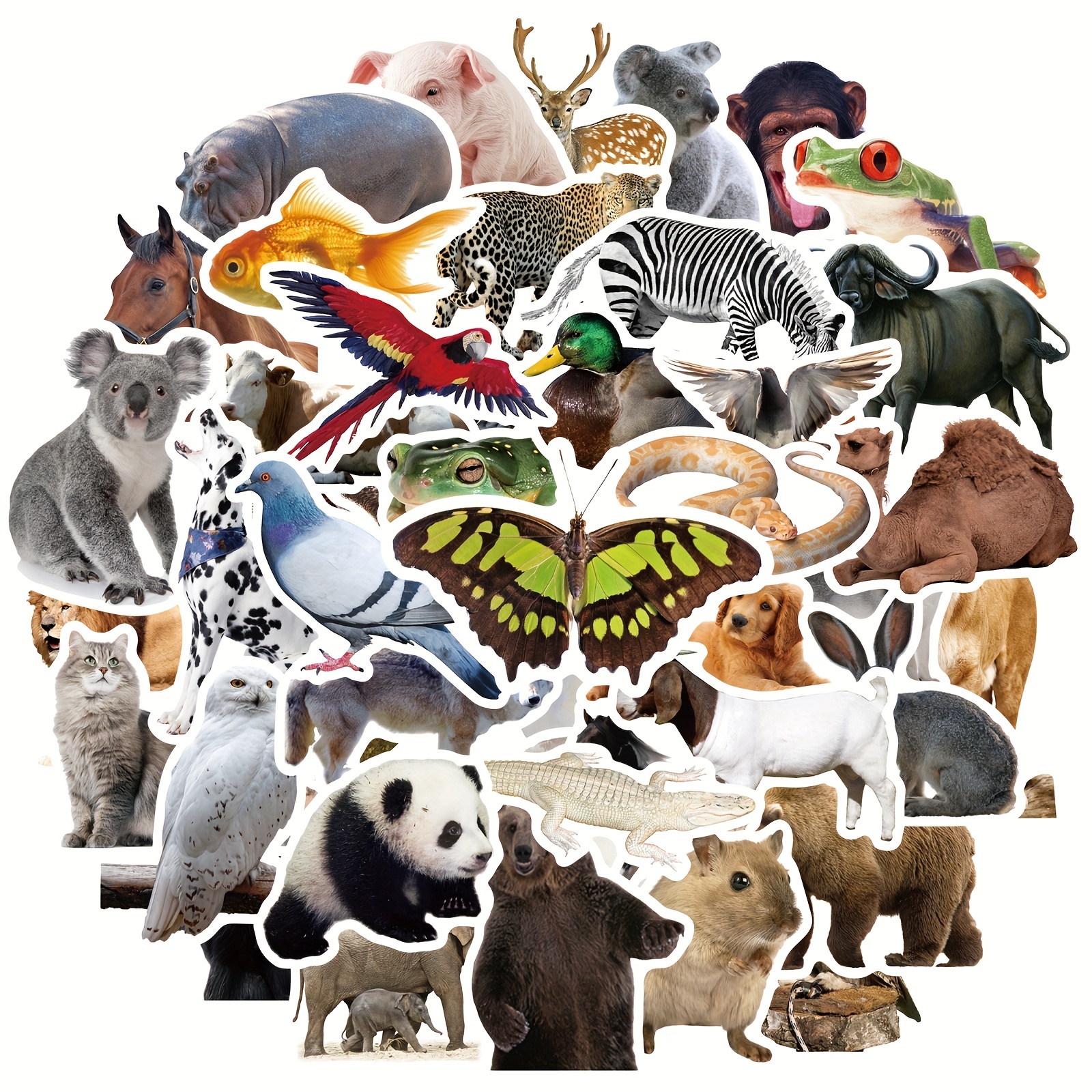 160PCS Animal Stickers for Kids, Cute Rainforest Zoo Animals